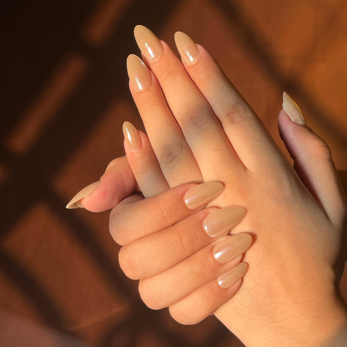 Jc 2072 Cat Eye Nude 24 Nails pack with free applicator kit