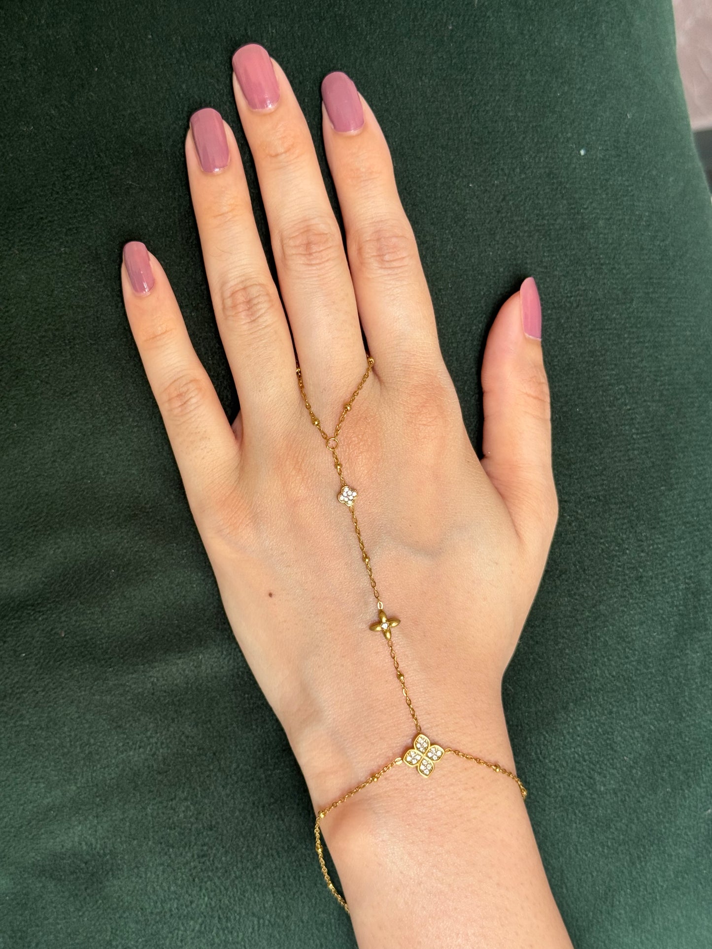Stainless & Waterproof Angla